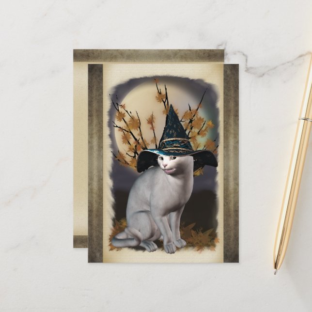 Carte postale Chat Sorcières (Devant/Arrière en situation)