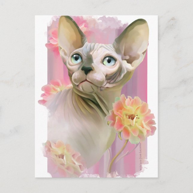 Carte Postale Chat Sphynx (Devant)