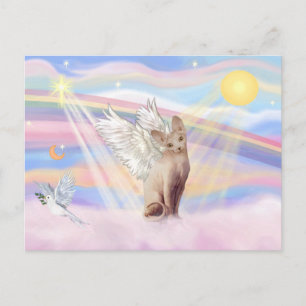 Carte Postale Chat Sphynx 1 - Nuages