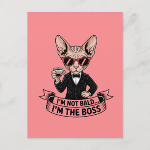 Carte Postale Chat Sphynx Patron Café Art