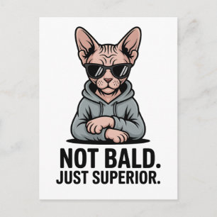 Carte Postale Chat Sphynx Supérieur Attitude Sarcastique Art