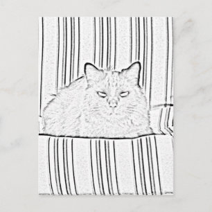 Carte postale - Chat sur chaise à rayures à couleu