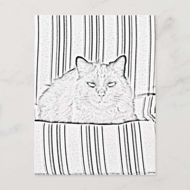 Carte postale - Chat sur chaise à rayures à couleu (Devant)