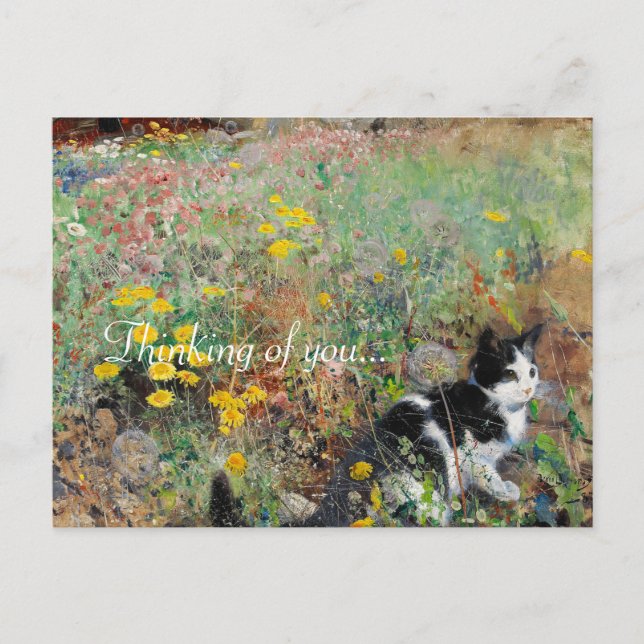 Carte Postale Chat sur Flowbed (Devant)