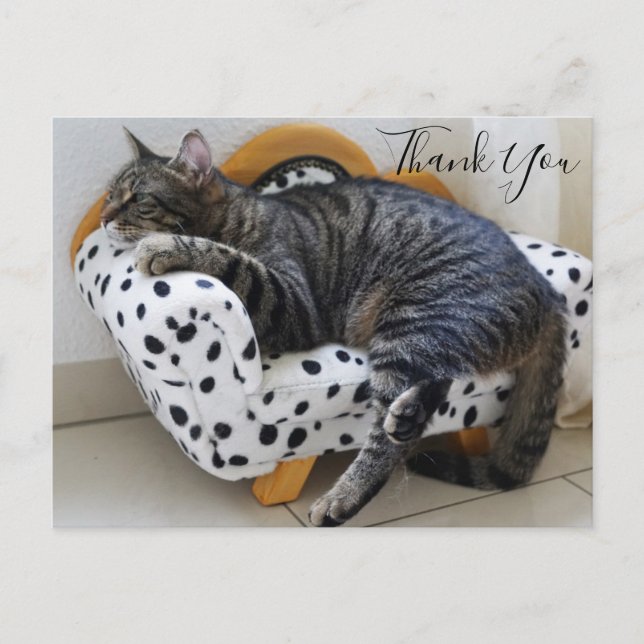 Carte Postale Chat sur Mini Sofa Merci tendance (Devant)