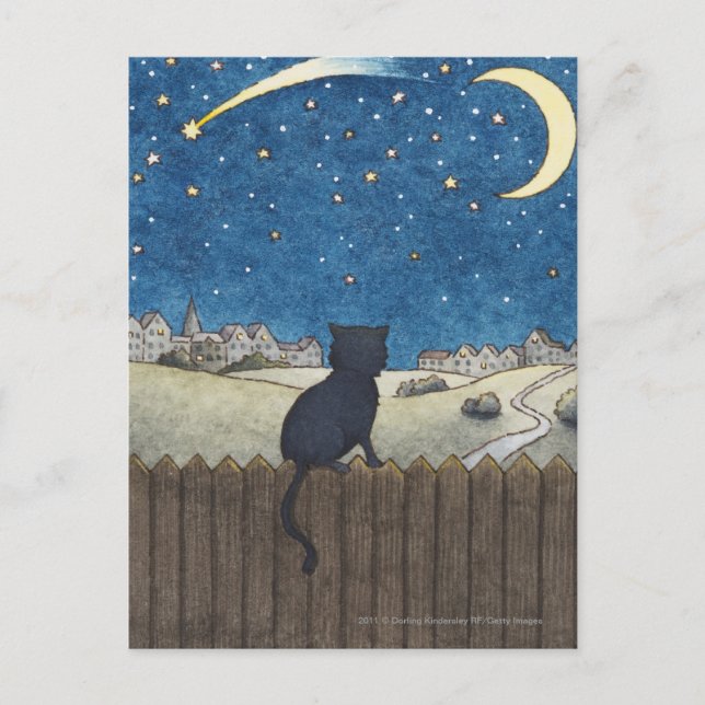 Carte Postale Chat sur une clôture regardant le ciel nocturne au (Devant)