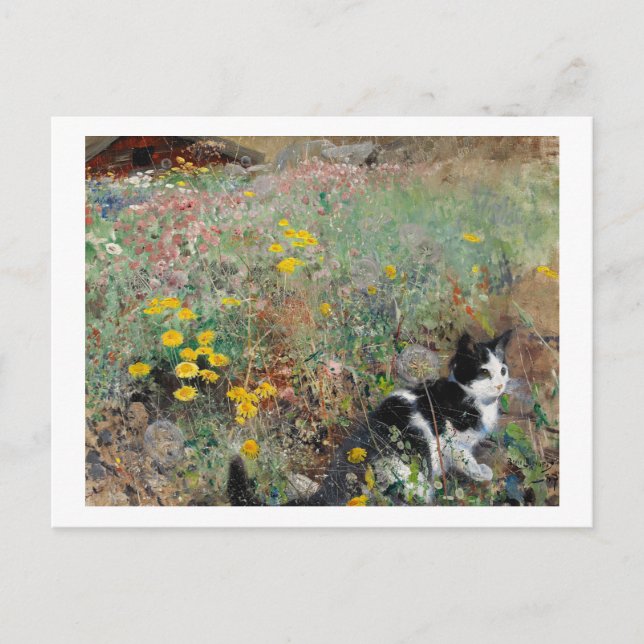 Carte Postale Chat sur une prairie fleurie, Bruno Liljefors (Devant)