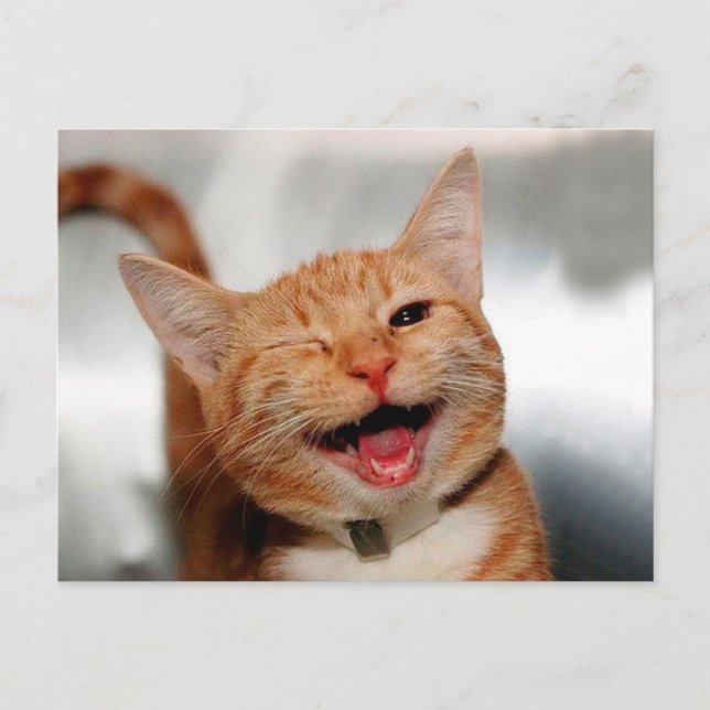 Carte Postale Chat tabby mignon pleurant d'un oeil (Devant)