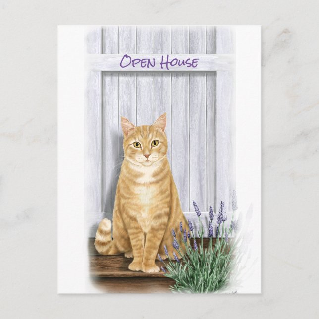 Carte Postale Chat Tabby Orange à la porte avec Fleurs de Lavand (Devant)