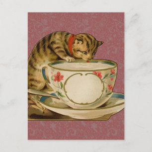 Carte Postale Chat Tasse à Thé Mignon Vintage Victorien Animal C