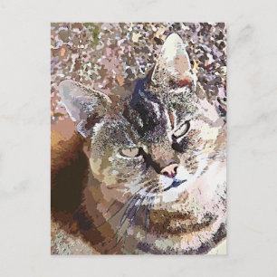 CARTE POSTALE CHAT TIGRÉ
