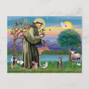 Carte Postale Chat (Tigré 2) - Saint François