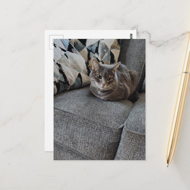 Carte Postale Chat tigré gris adorable (Devant/Arrière en situation)
