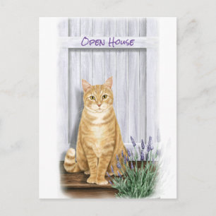 Carte Postale Chat tigré orange à la porte avec des fleurs de la
