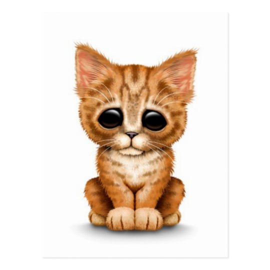 Carte Postale Chat Tigre Orange Mignon Triste De Chaton Sur Le Zazzle Fr
