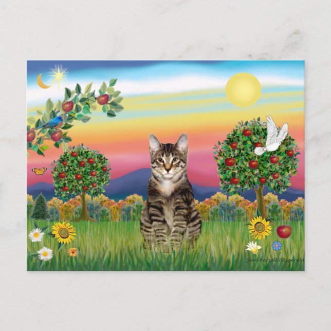 Carte Postale Chat Tigre Tabby 1 - Campagne Lumineuse (Devant)