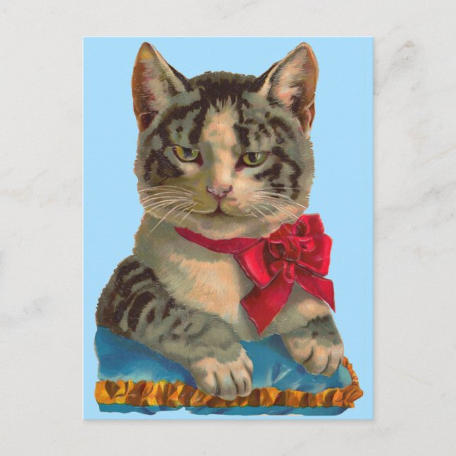 Carte Postale Chat tigré victorien (Devant)