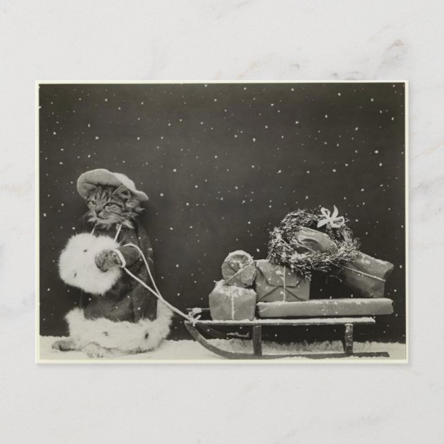 Carte Postale Chat traineau noël (Devant)