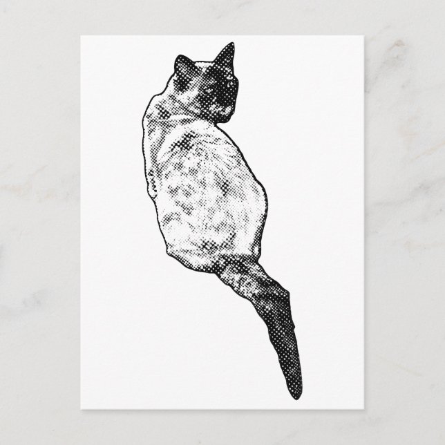 Carte Postale Chat Tranquille, Salutations Douces (Devant)