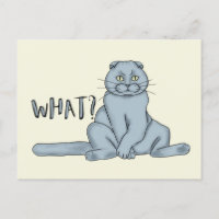 Chat triste - quoi?