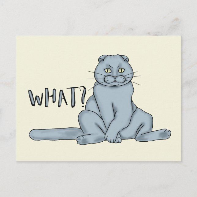 Carte Postale Chat triste - quoi? (Devant)