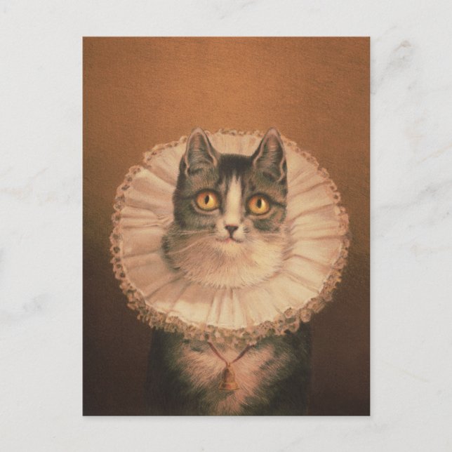 Carte postale Chat vintage (Devant)