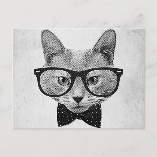 Carte Postale Chat Vintage De Hippie Zazzle Fr