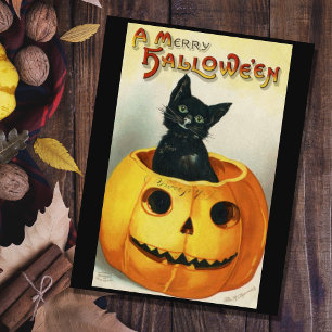 Carte Postale Chat vintage D'Halloween Noir Dans Un Citrouille