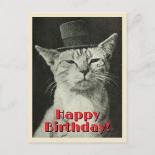 Carte Postale Chat vintage en haut-de-forme Joyeux Anniversaire