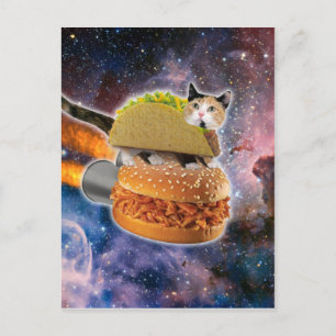 Carte Postale Chat voyageant sur un rocketburger