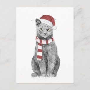 Carte Postale chat Xmas