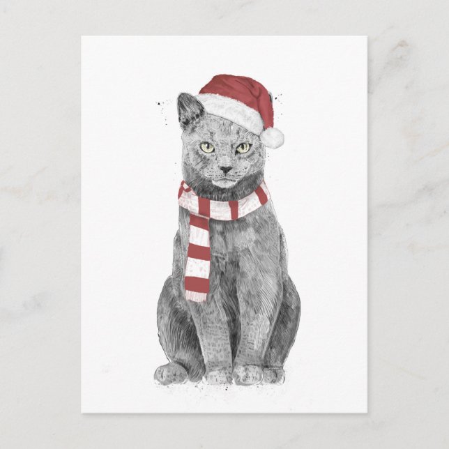 Carte Postale chat Xmas (Devant)