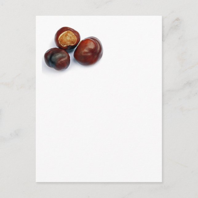 Carte Postale châtaigne (Devant)