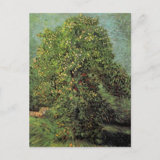 Carte Postale Châtaignier en Fleur, Vincent van Gogh