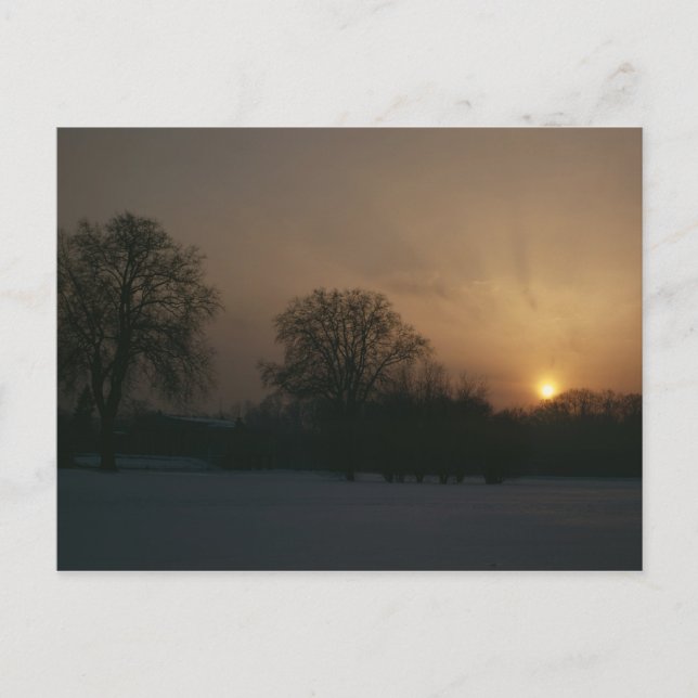 Carte Postale Château Charlottenhof, Coucher de soleil (Devant)