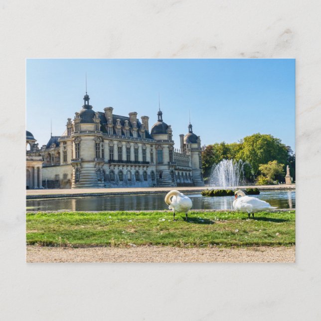 Carte Postale Château de Chantilly, fontaine et deux cygnes (Devant)