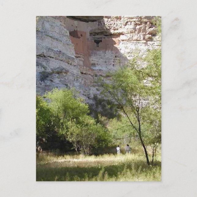 Carte Postale Château de Montezuma Cliff Arbres indiens en herbe (Devant)