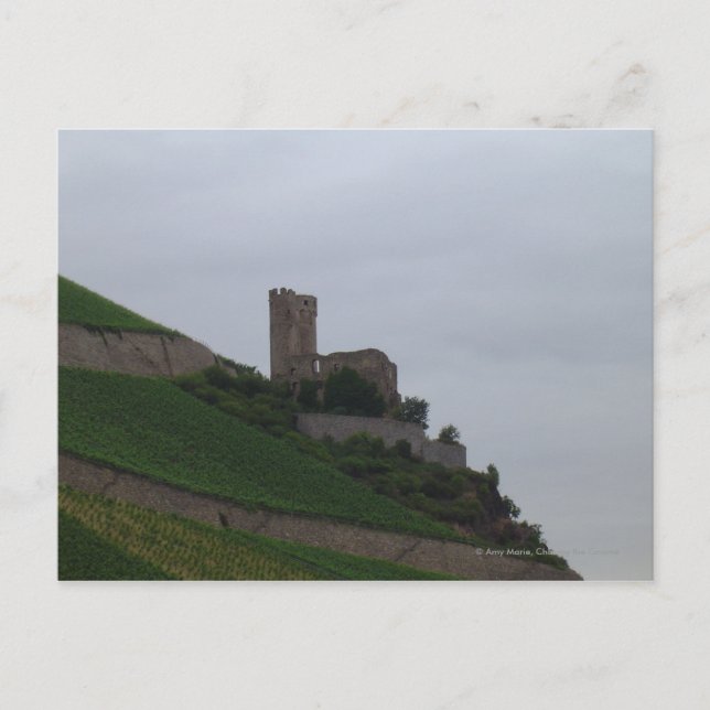 Carte Postale Château du Rhin (Devant)