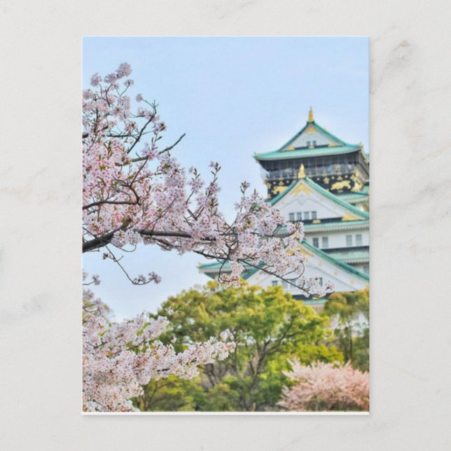 Carte Postale Château Himeji avec fleurs de cerisiers (Devant)