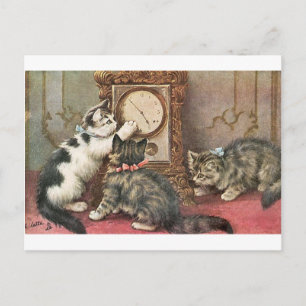 Carte Postale Chaton
