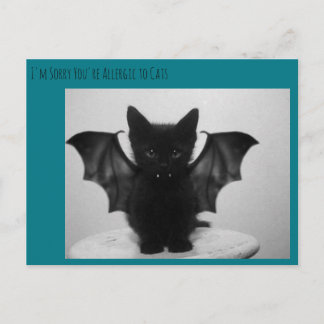 Carte Postale chaton