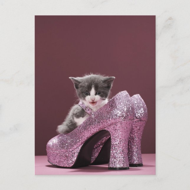 Carte Postale Chaton assis dans des chaussures scintillantes (Devant)