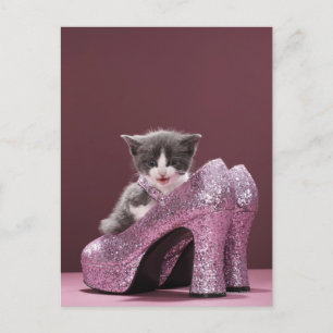 Carte Postale Chaton assis dans des chaussures scintillantes