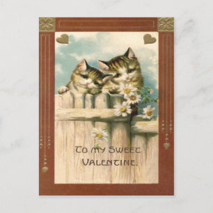 Carte Postale Chaton Chat Daisy Marguerites Clôture