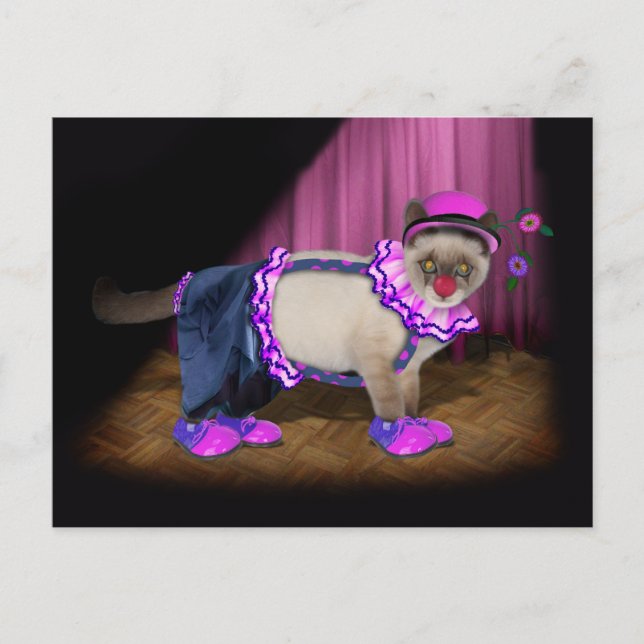Carte Postale Chaton Clown Mignon (Devant)