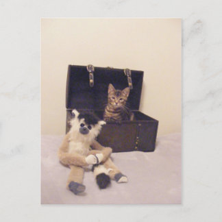 Carte Postale chaton dans le coffre