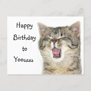 Cartes D Minou D Anniversaire Zazzle Fr