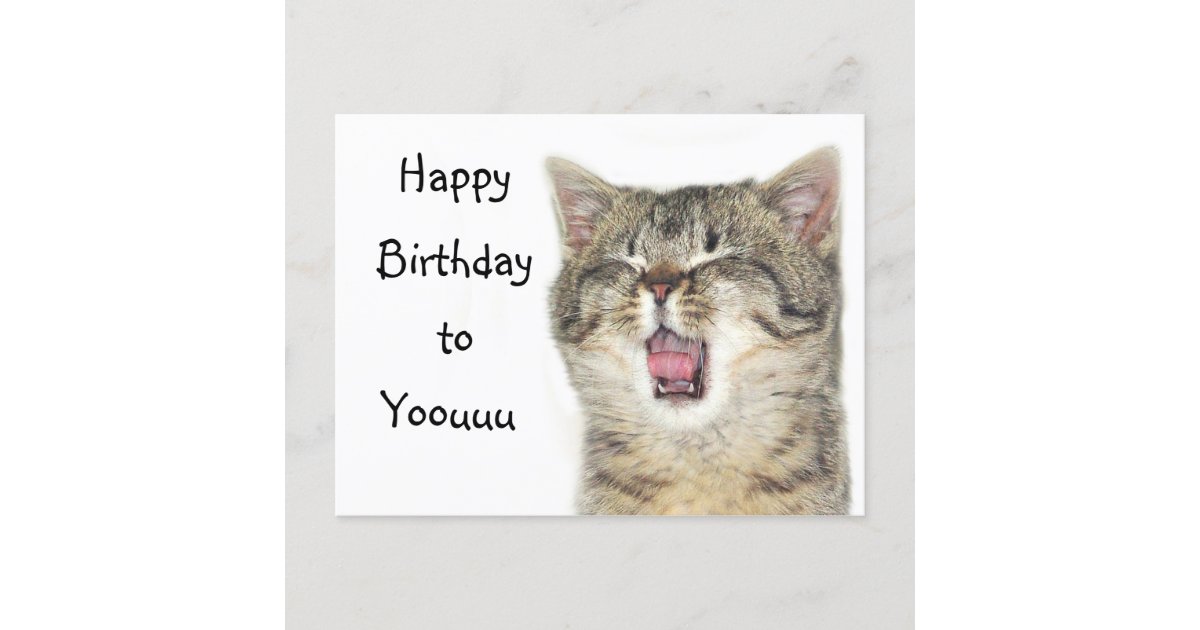 Carte Postale Chaton De Joyeux Anniversaire Zazzle Fr