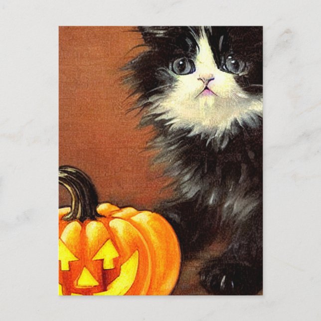 Carte Postale Chaton d'Halloween noir et blanc vintage (Devant)