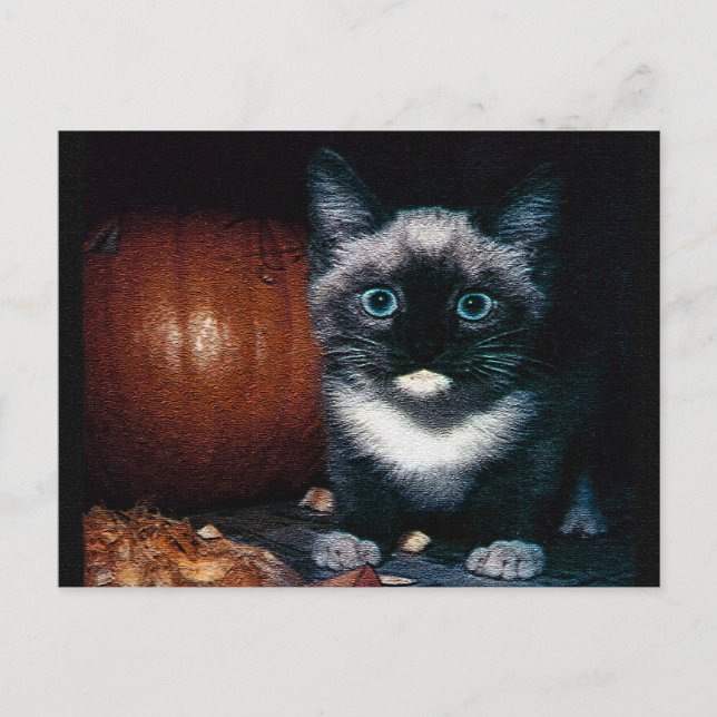 Carte Postale Chaton et citrouille pour Halloween (Devant)